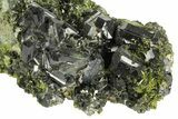 Lustrous, Epidote Crystal Cluster on Actinolite - Pakistan #164842-2
